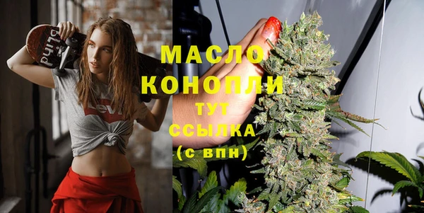 молекула духа Арсеньев