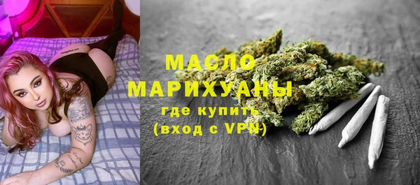молекула духа Арсеньев