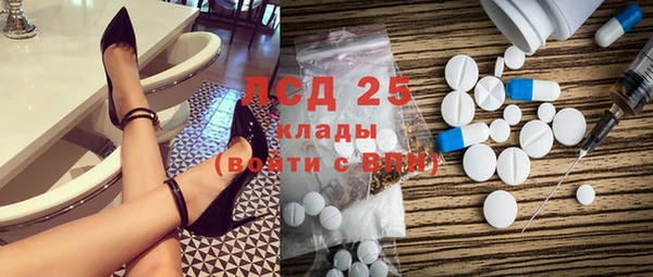 молекула духа Арсеньев