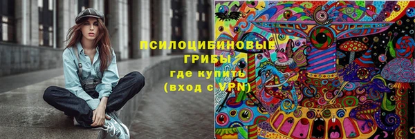 молекула духа Арсеньев