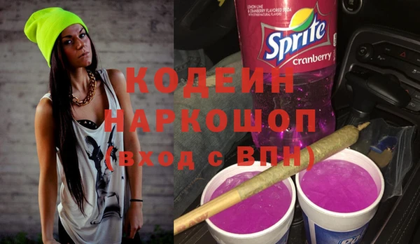 молекула духа Арсеньев