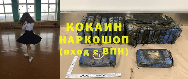 молекула духа Арсеньев