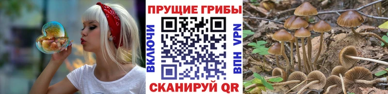 как найти закладки  Олёкминск  Псилоцибиновые грибы GOLDEN TEACHER 