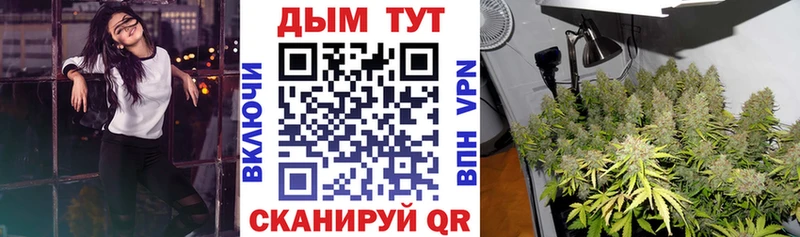 Канабис MAZAR  магазин продажи наркотиков  Олёкминск 